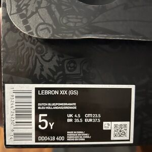 Youth Lebron XIX GS Basketball shoes. Like new.